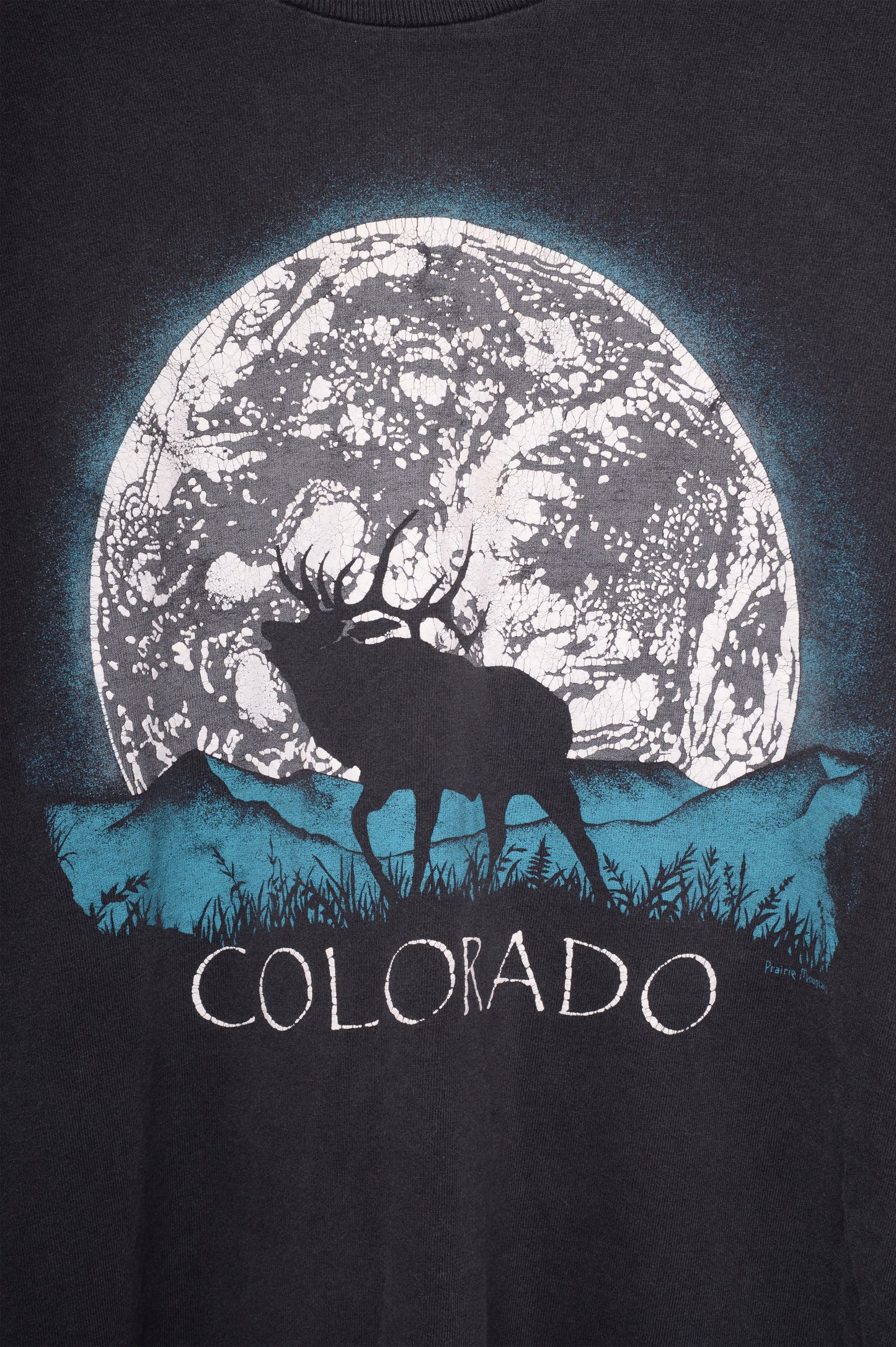 Colorado Moose Tee USA