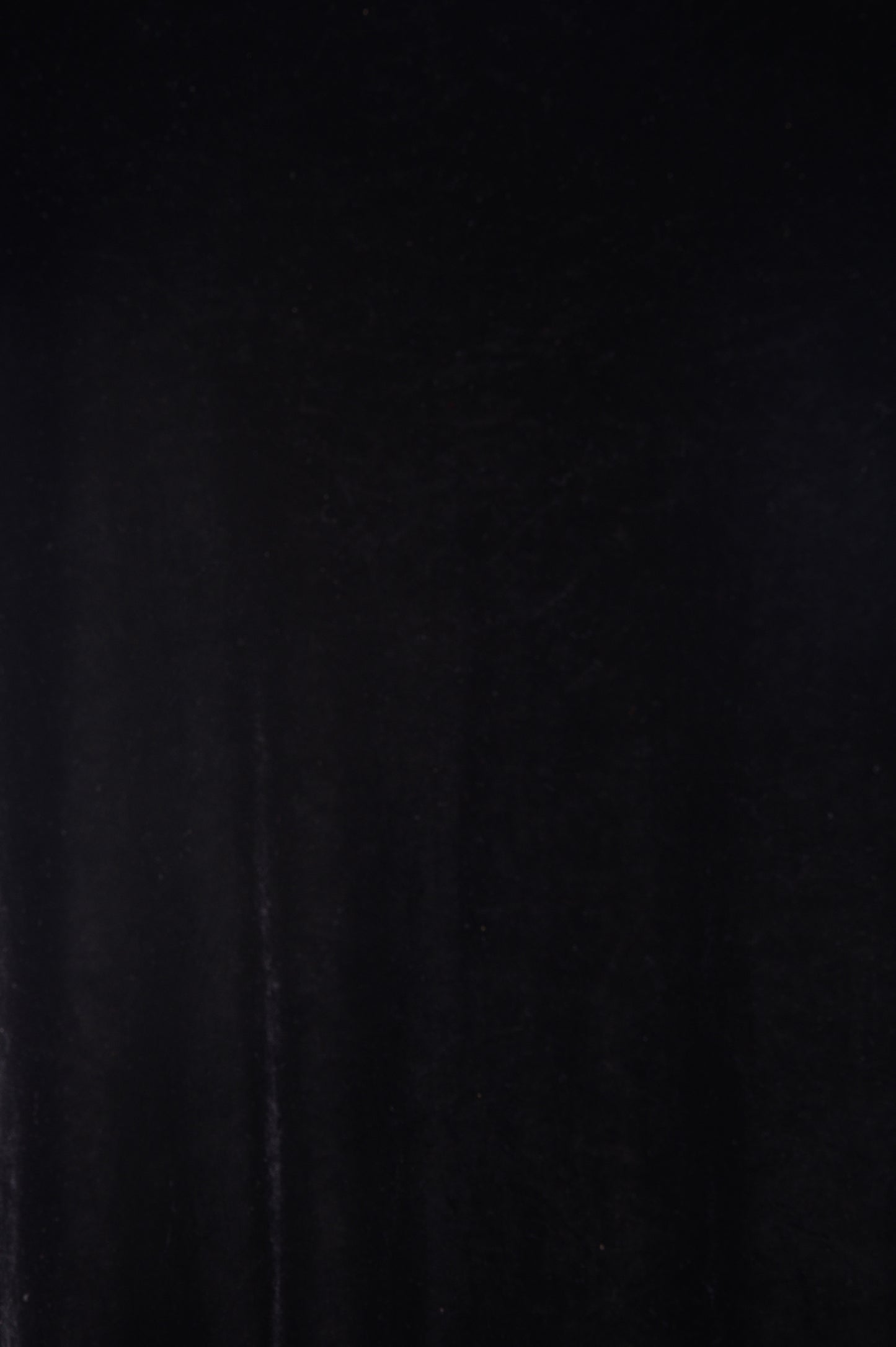 Black Velvet Mini Dress