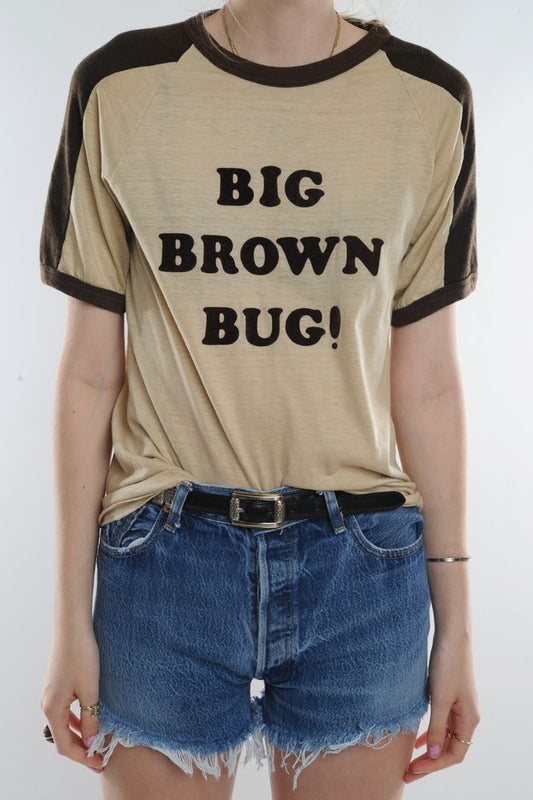 Big Brown Bug