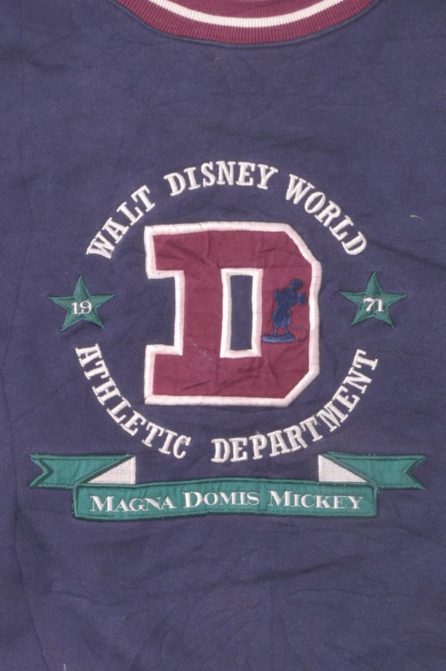 Disney Embroidered Sweatshirt