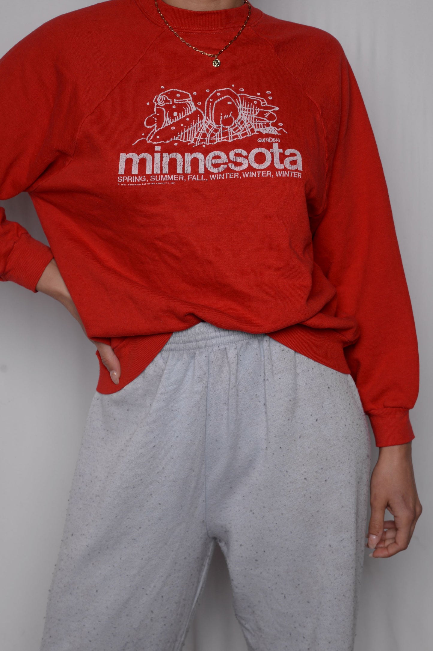 Crazy Soft Minnesota Sweatshirt