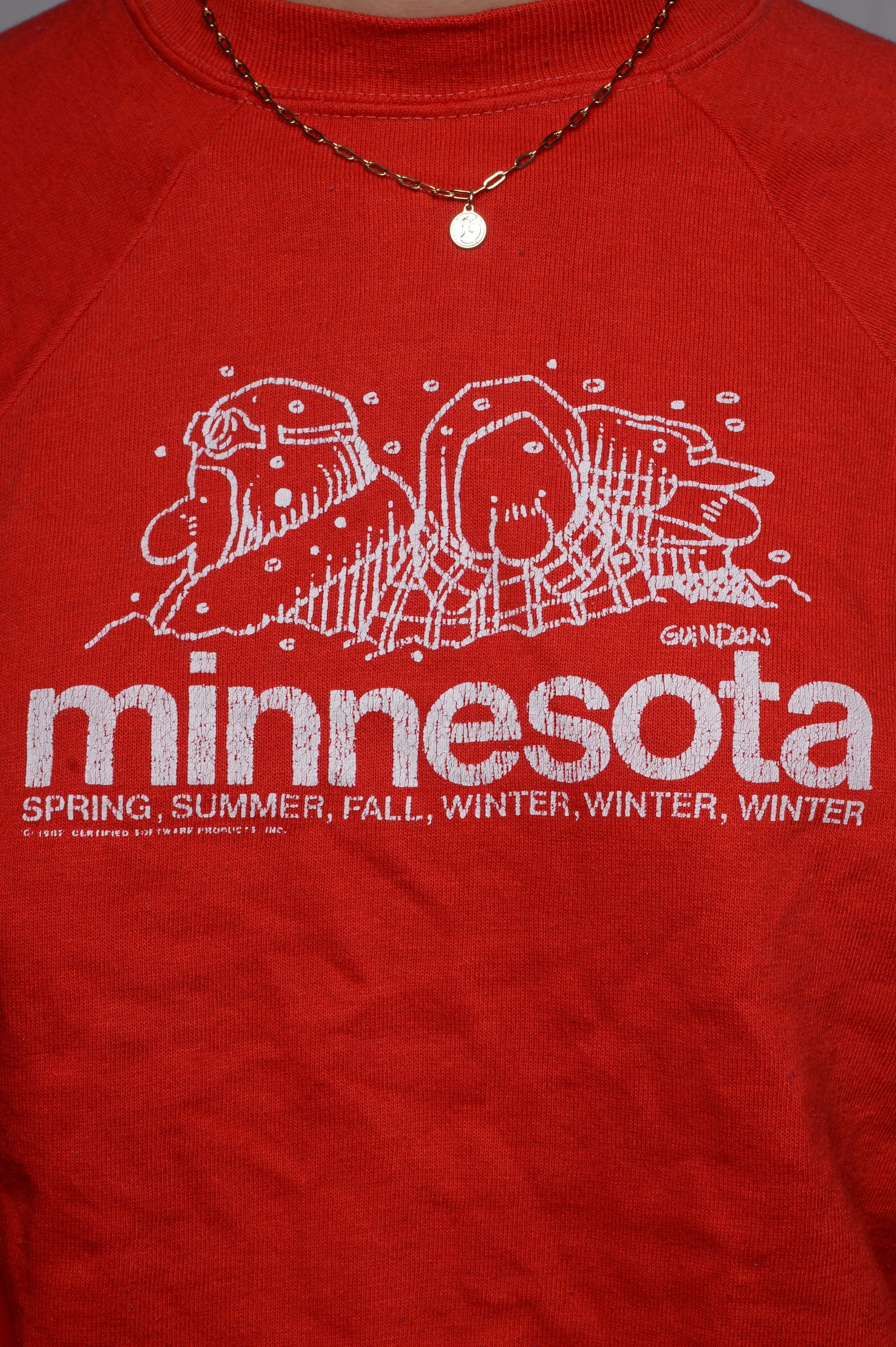 Crazy Soft Minnesota Sweatshirt
