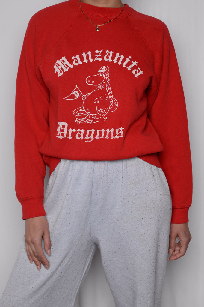 Dragons Crazy Soft Sweatshirt