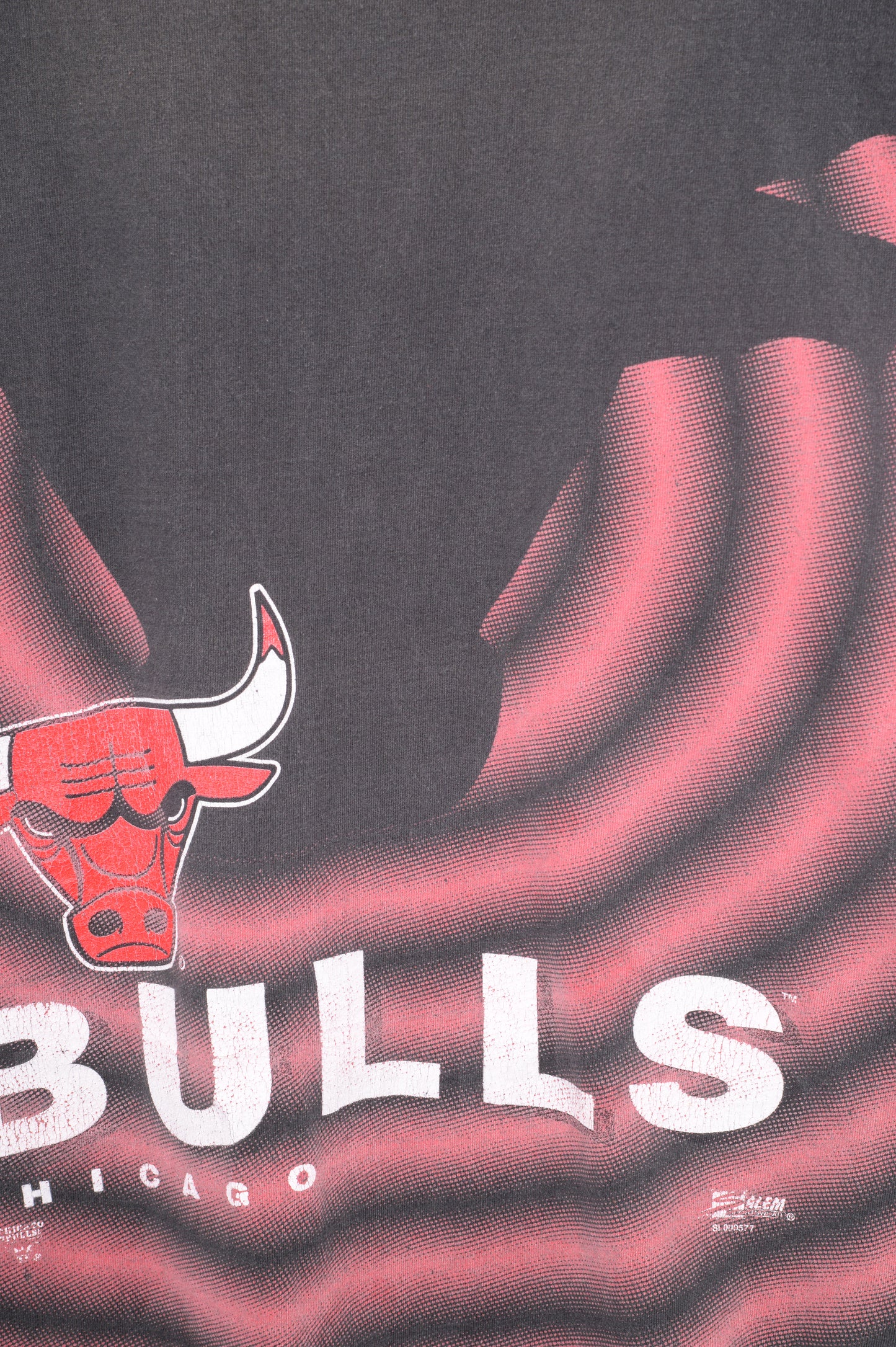 Chicago Bulls All-Over Tee USA
